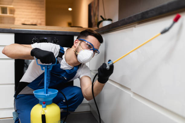 Best Affordable Pest Control Services  in Corvallis, MT