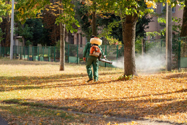 Best Bed Bug Extermination  in Corvallis, MT