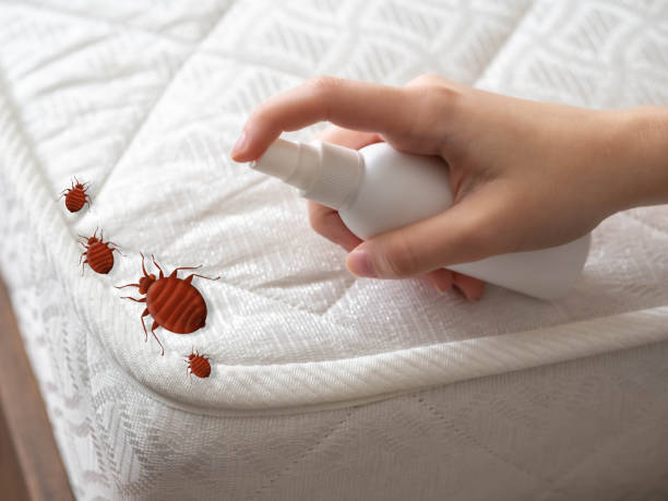Best Exterminator Services  in Corvallis, MT